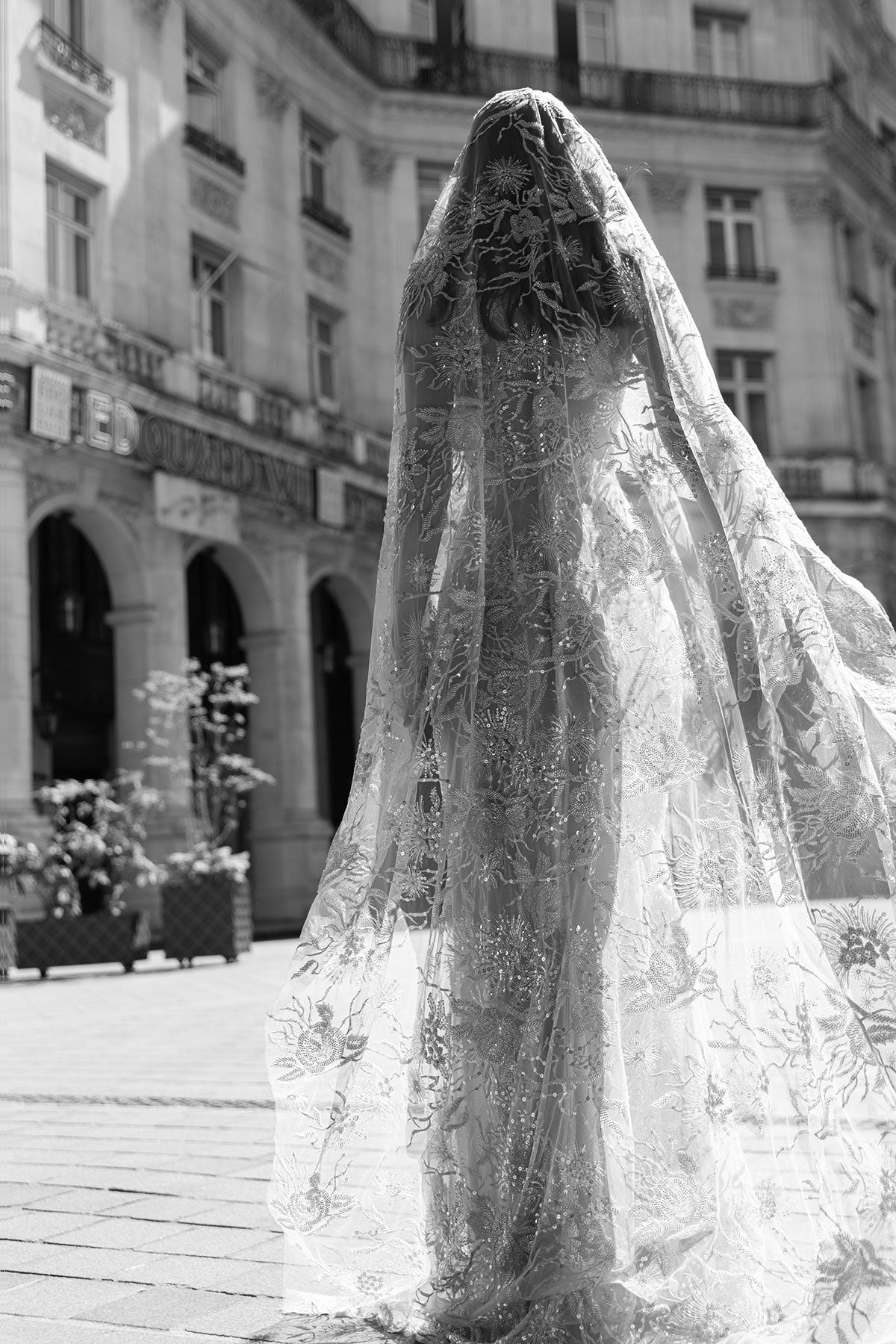 Princess Palatine Veil