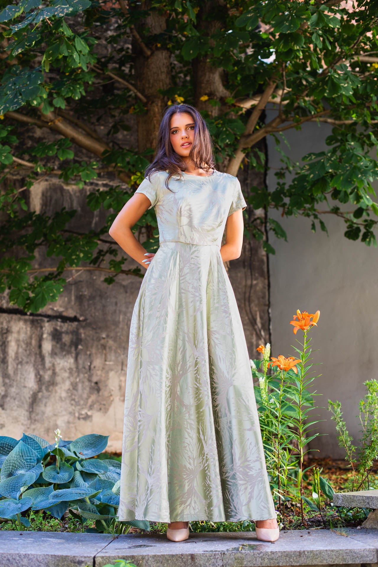 Estrellita Olive