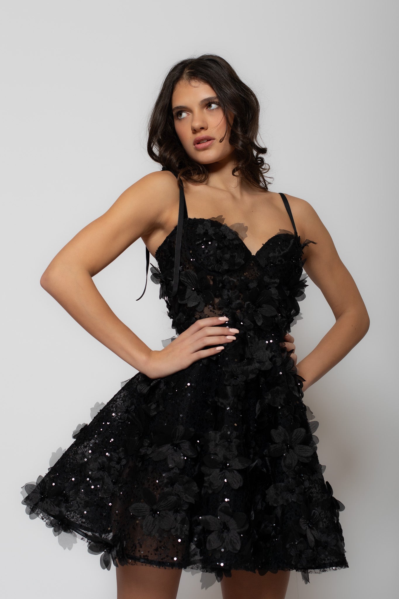 Rosée Noire Mini Dress