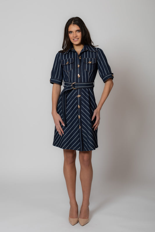 Striped Denim Dress